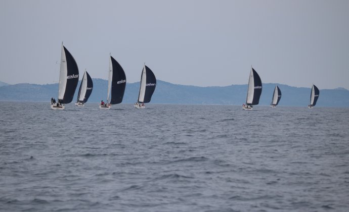 Májová regata 2022